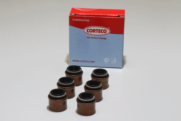 CORTECO 19036069 Kit guarnizioni, Stelo valvola-Kit guarnizioni, Stelo valvola-Ricambi Euro