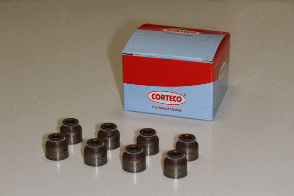 CORTECO 19036076 Kit guarnizioni, Stelo valvola