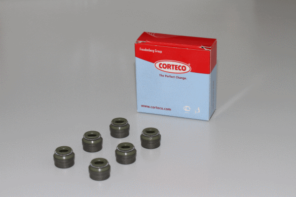 CORTECO 19036421 Kit guarnizioni, Stelo valvola