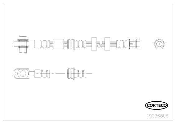 CORTECO 19036606 Flessibile del freno-Flessibile del freno-Ricambi Euro