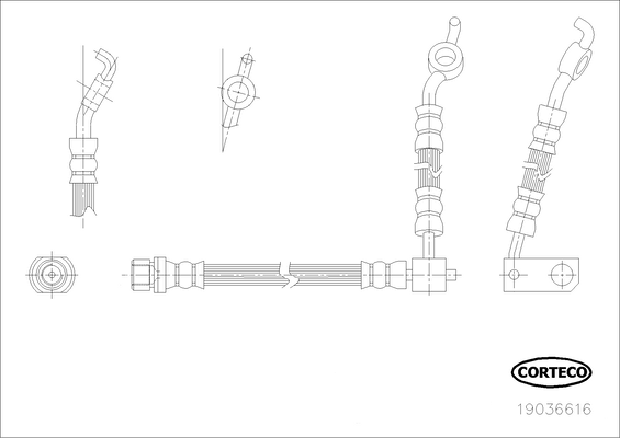 CORTECO 19036616 Flessibile del freno
