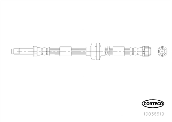 CORTECO 19036619 Flessibile del freno-Flessibile del freno-Ricambi Euro