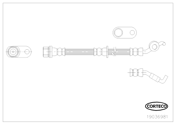 CORTECO 19036981 Flessibile del freno-Flessibile del freno-Ricambi Euro