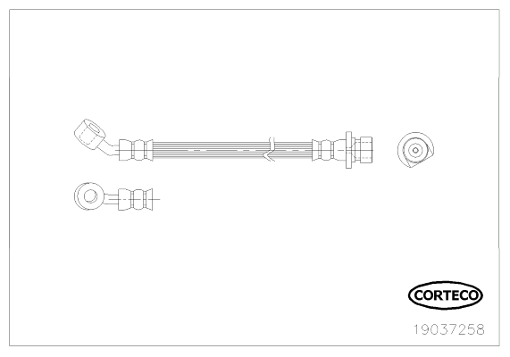 CORTECO 19037258 Flessibile del freno