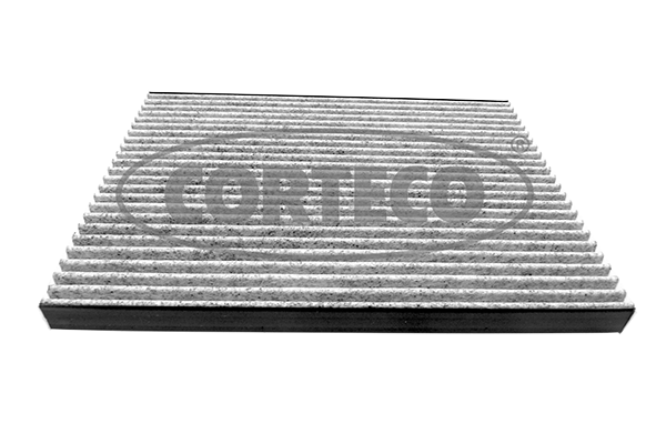 CORTECO 49382449 Filtro, Aria abitacolo-Filtro, Aria abitacolo-Ricambi Euro