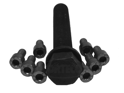 CORTECO 80001262 Kit bulloni, Puleggia-Albero a gomiti