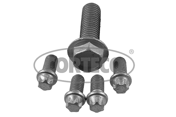 CORTECO 80004897 Kit bulloni, Puleggia-Albero a gomiti-Kit bulloni, Puleggia-Albero a gomiti-Ricambi Euro