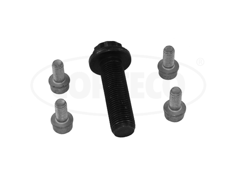 CORTECO 80005271 Kit bulloni, Puleggia-Albero a gomiti-Kit bulloni, Puleggia-Albero a gomiti-Ricambi Euro