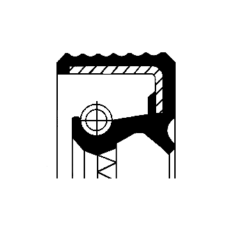 CORTECO 12015710B Paraolio, mozzo ruota