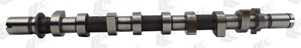 AE CAM983 Camshaft for DACIA MAHINDRA MAHINDRA RENAULT MERCEDES-BENZ NISSAN RENAULT SAMSUNG