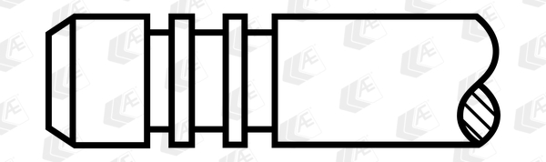 Intake Valve