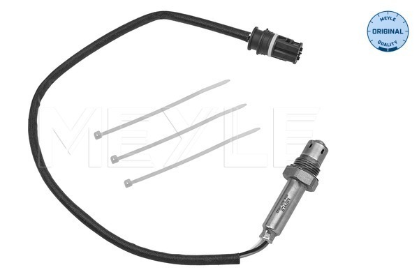 Oxygen Sensor