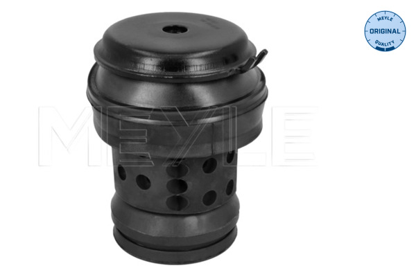 MEYLE 100 199 0036 MEYLE-ORIGINAL: True to OE. Mounting, engine