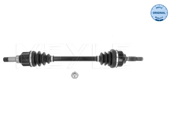 Drive Shaft