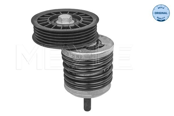 Tensioner Lever, V-ribbed belt