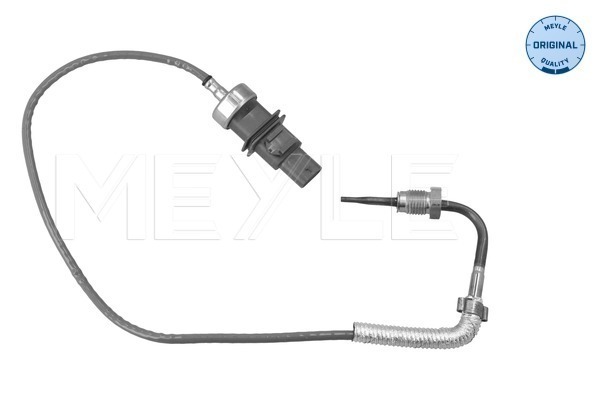 Sensor, exhaust gas temperature