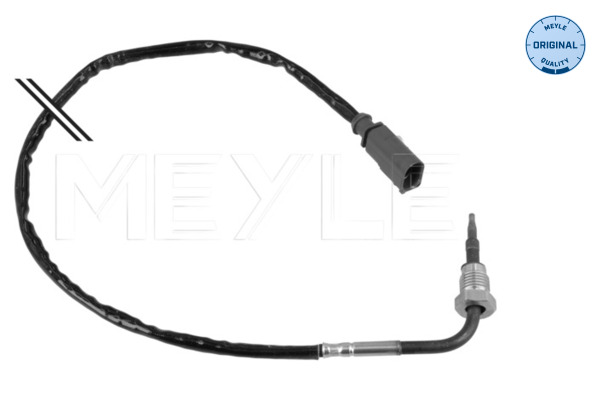 Sensor, exhaust gas temperature