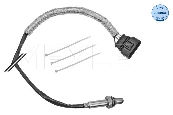 Oxygen Sensor