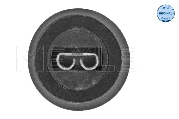 Oxygen Sensor 2