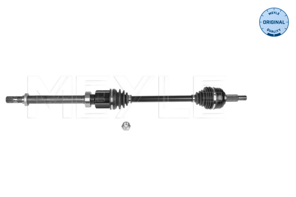 Drive Shaft
