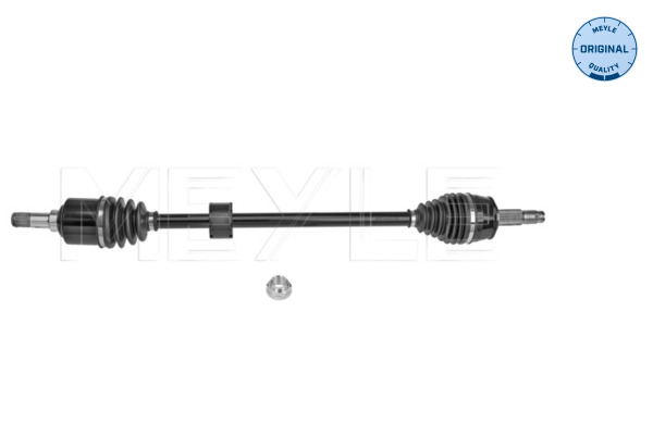 Drive Shaft