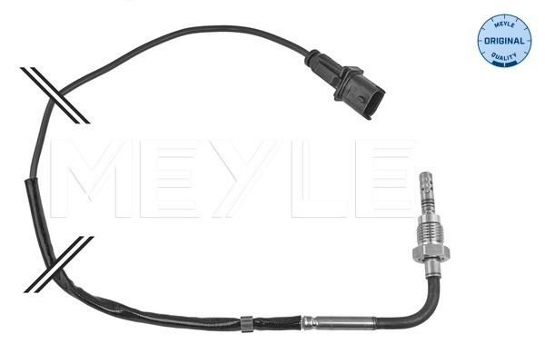 Sensor, exhaust gas temperature