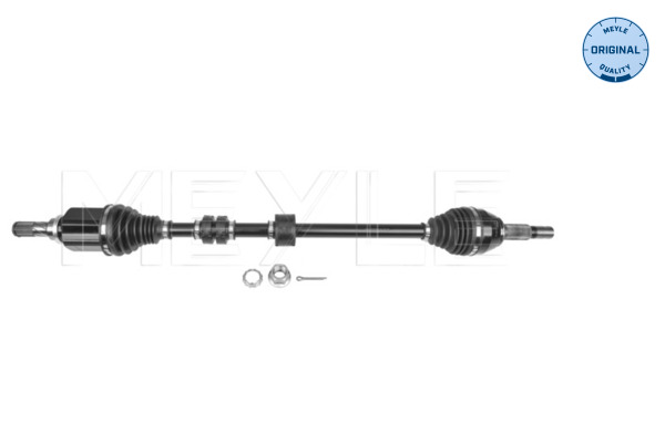 Drive Shaft