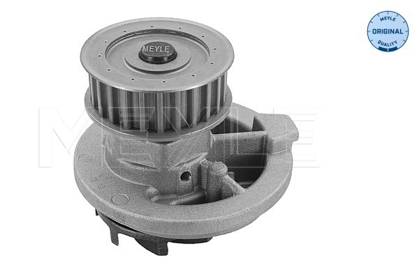 Water Pump, engine cooling 2