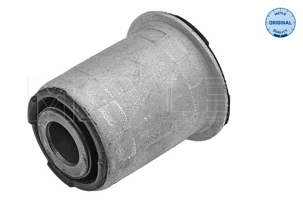 Mounting, control/trailing arm 2