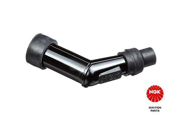 Plug, spark plug