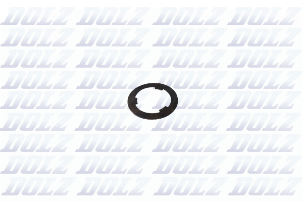 DOLZ 02KC723 Washer