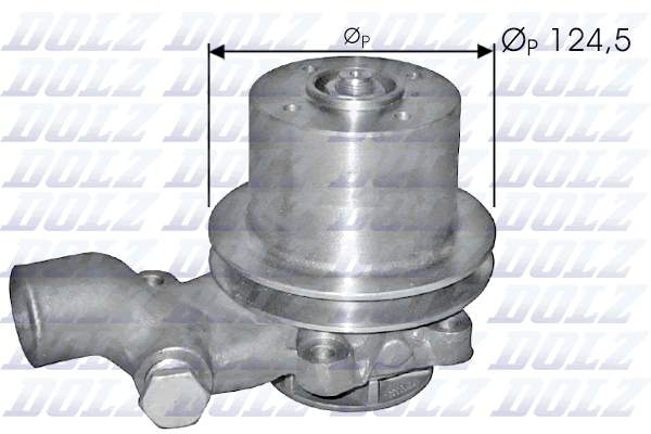 DOLZ P310 Pompa acqua