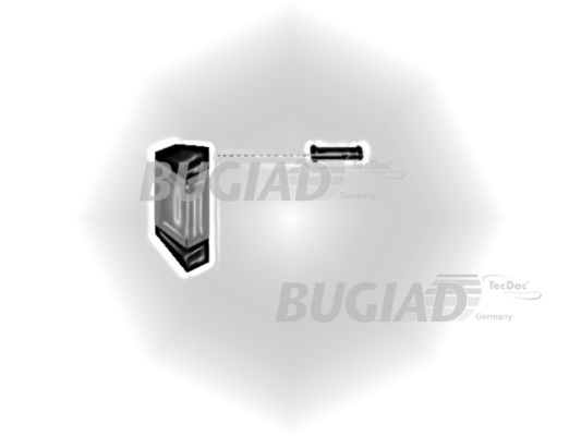 BUGIAD 86620 Ladeluftschlauch