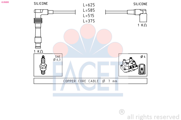 FACET 4.8688 Juego de...