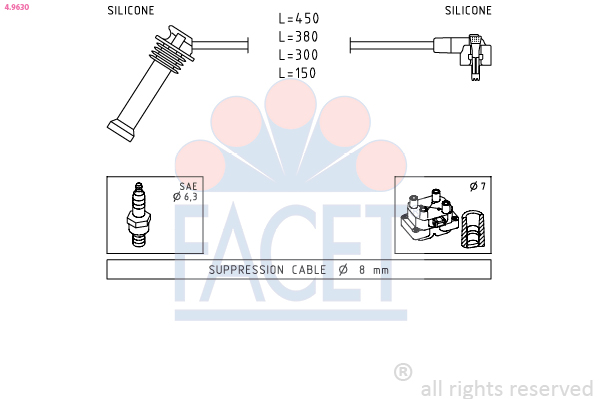 FACET 4.9630 Tändkabelsats