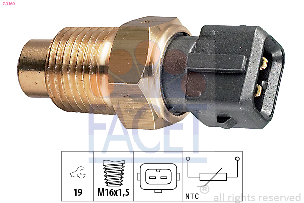 FACET 7.3160 Sonde de...