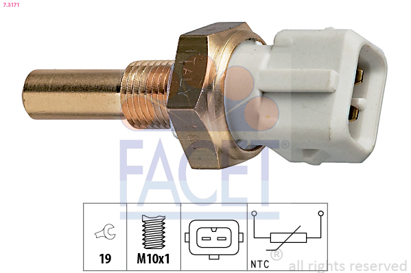 FACET 7.3171 Sonde de...