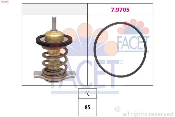 FACET 7.7953 Thermostat,...
