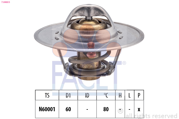 FACET 7.8465S Thermostat,...
