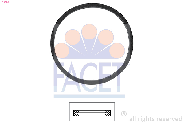 FACET 7.9528 Conta, Termostat