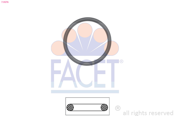 FACET 7.9576 Gasket,...