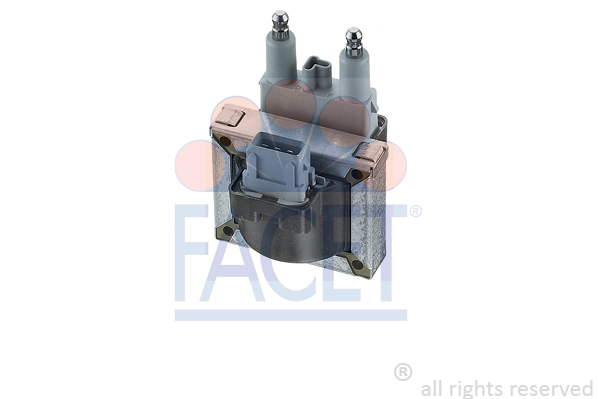 FACET 9.6176 Ignition Coil