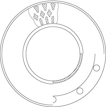 Brake Disc 2