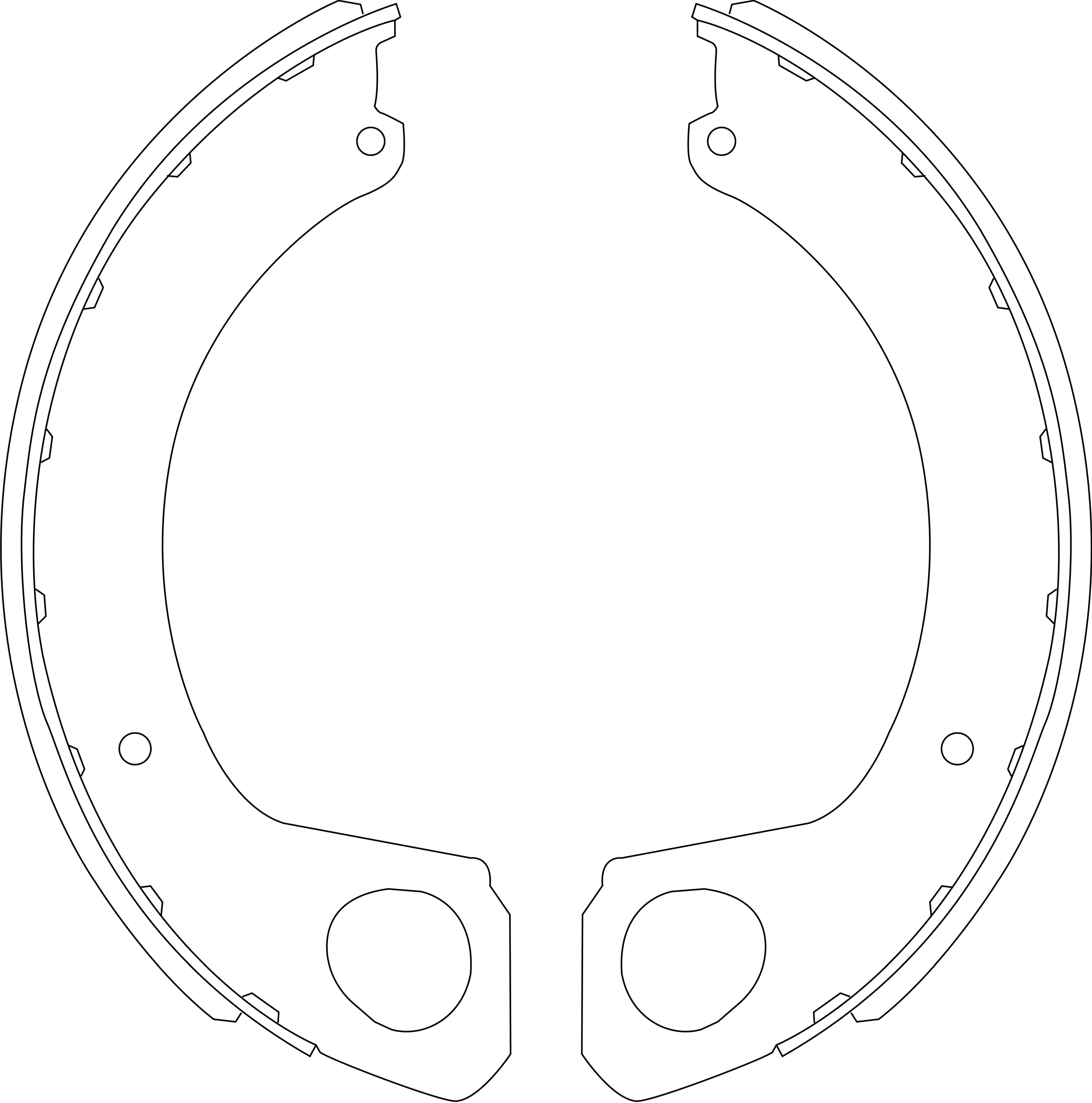 Brake Shoe Set