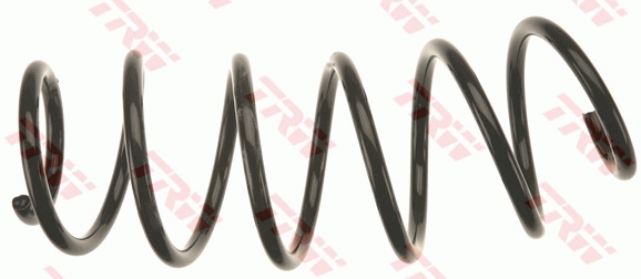 TRW JCS1317 Suspension Spring
