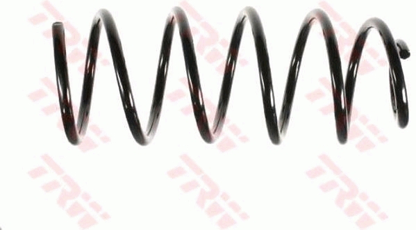 Suspension Spring