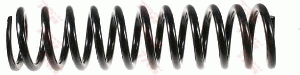 Suspension Spring