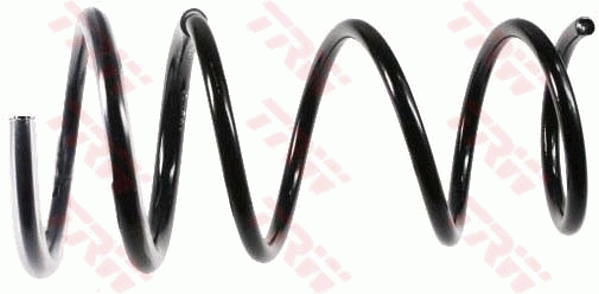 TRW JCS381 Suspension Spring
