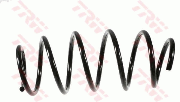 TRW JCS576 Suspension Spring