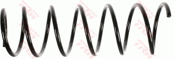 TRW JCS650 Suspension Spring